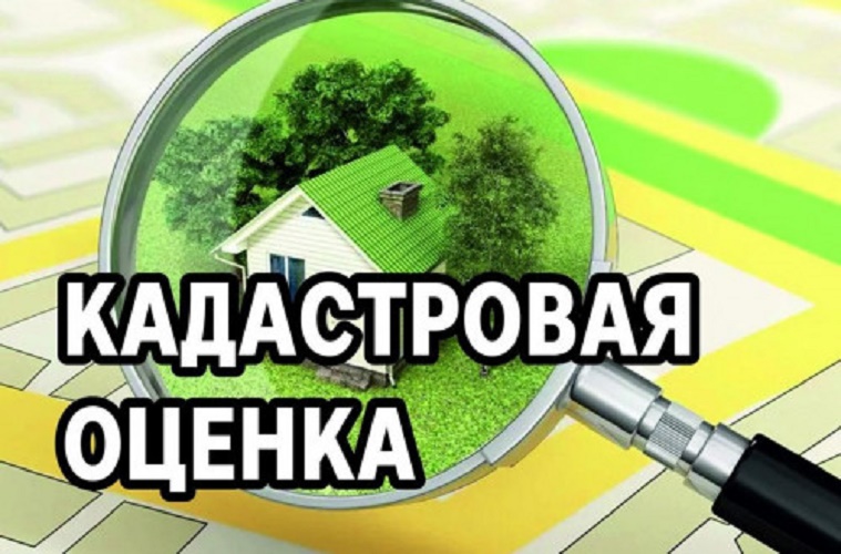 В Ростовской области началась государственная кадастровая оценка земельных участков, учтенных в ЕГРН